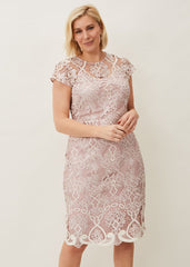 Frances Lace Fitted Dress - Petal