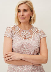 Frances Lace Fitted Dress - Petal