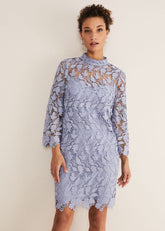 Verity Floral Lace Dress - Cornflower