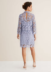 Verity Floral Lace Dress - Cornflower