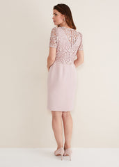 Pale Pink Midi Dress with Detachable Lace Overlay Top - Antique Rose
