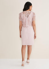 Petite Isabella Lace Midi Dress - Antique Rose