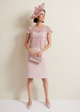 Daisy Lace Midi Dress - Pale Pink