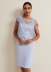 Petite Daisy Lace Double Layer Dress - Pale Blue