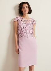 Tallula Lace Dress - Pink