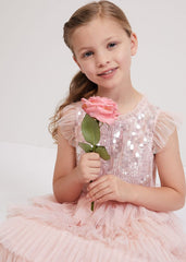 Bobbi Pale Pink Beaded Tulle Dress - Pale Pink