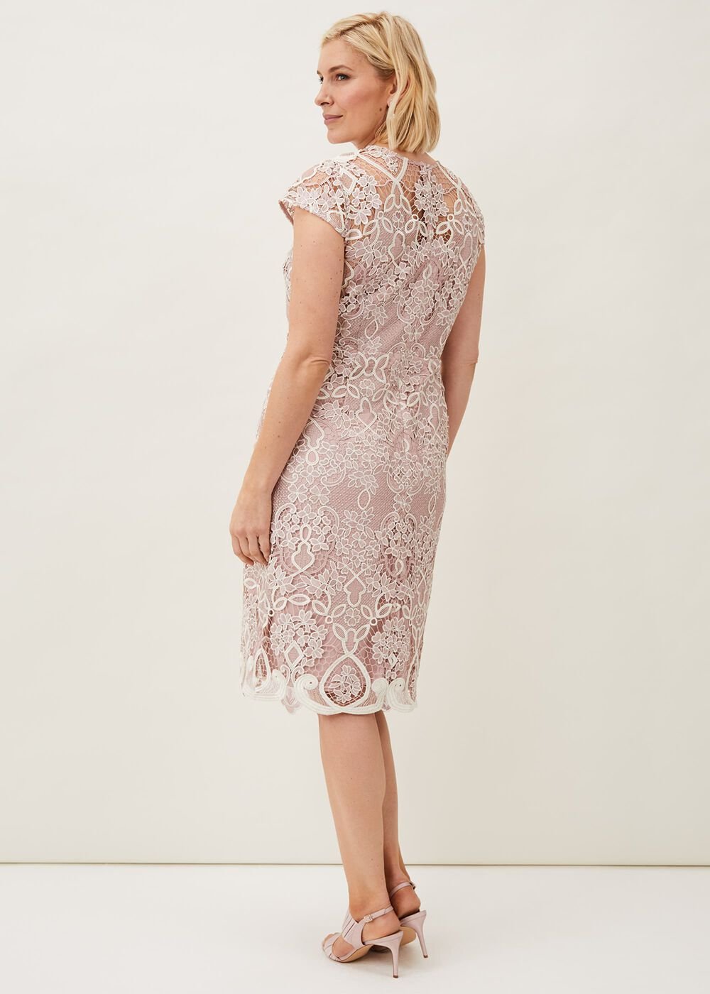 Frances Lace Fitted Dress - Petal