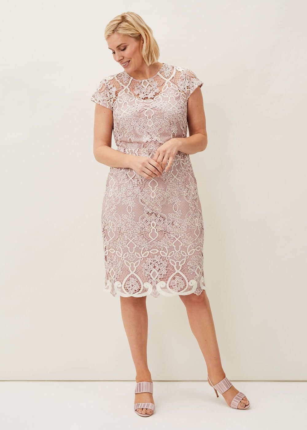 Frances Lace Fitted Dress - Petal