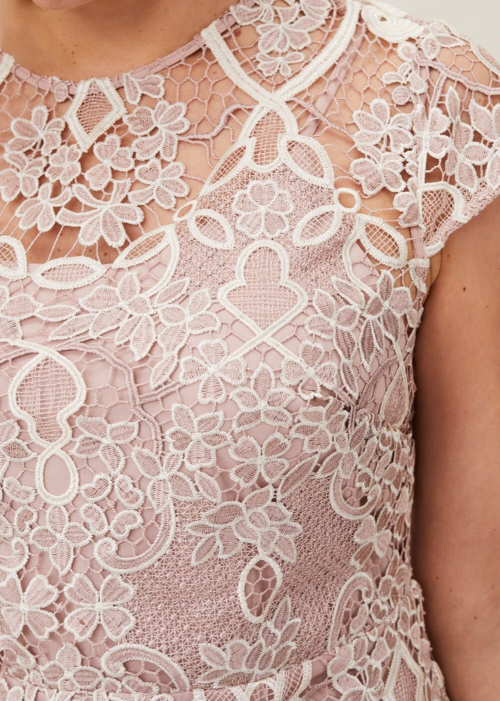 Frances Lace Fitted Dress - Petal
