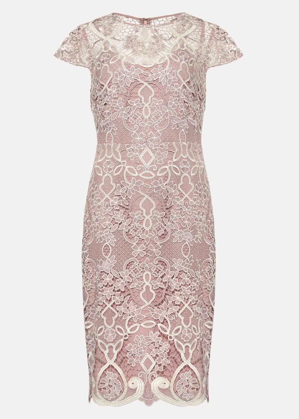 Frances Lace Fitted Dress - Petal
