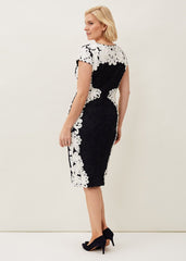 Nori Tapework Lace Fitted Dress - Navy/Ivory
