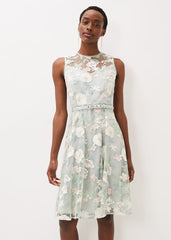 Aria Embroidered Fit And Flare Dress - Eau De Nil