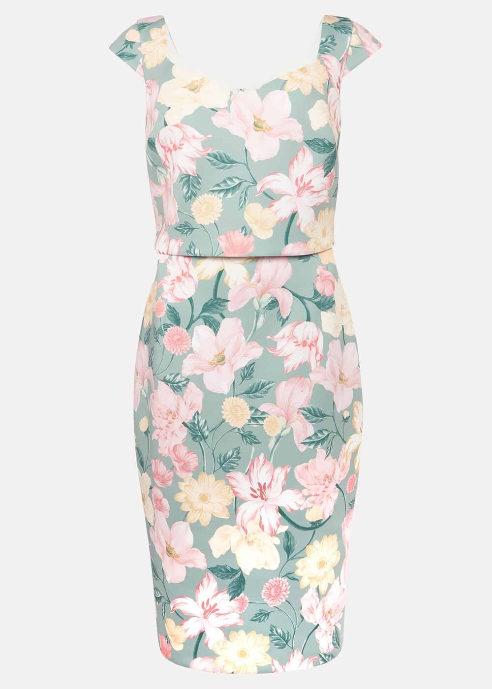 Jessia Floral Scuba Dress - Sage/Multi