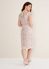 Classic Pink Lace Overlay Pencil Dress - Petal