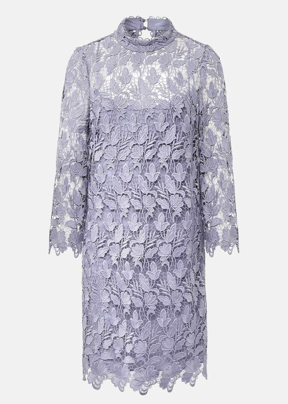 Verity Floral Lace Dress - Cornflower