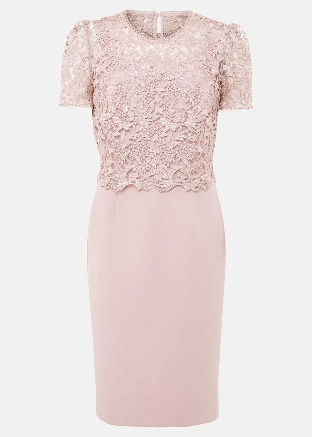 Petite Isabella Lace Midi Dress - Antique Rose