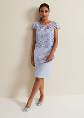 Petite Daisy Lace Double Layer Dress - Pale Blue