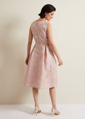 Jacesta Jacquard Fit And Flare Dress - Pale Pink