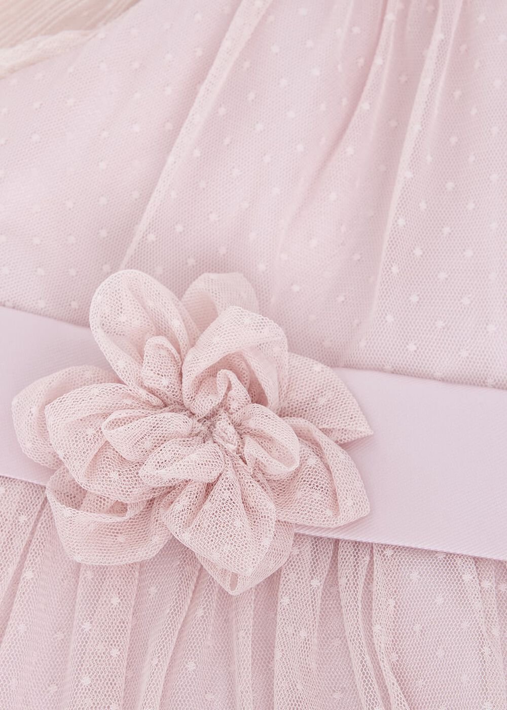 Jasmine Tulle Fit And Flare Dress - Antique Rose