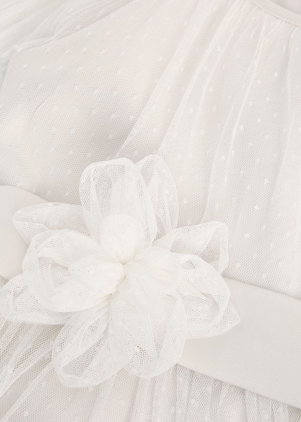 Jasmine Tulle Fit And Flare Dress - Ivory