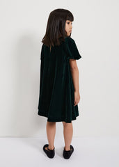 Beatrice Dark Green Velvet Swing Dress - Dark Green