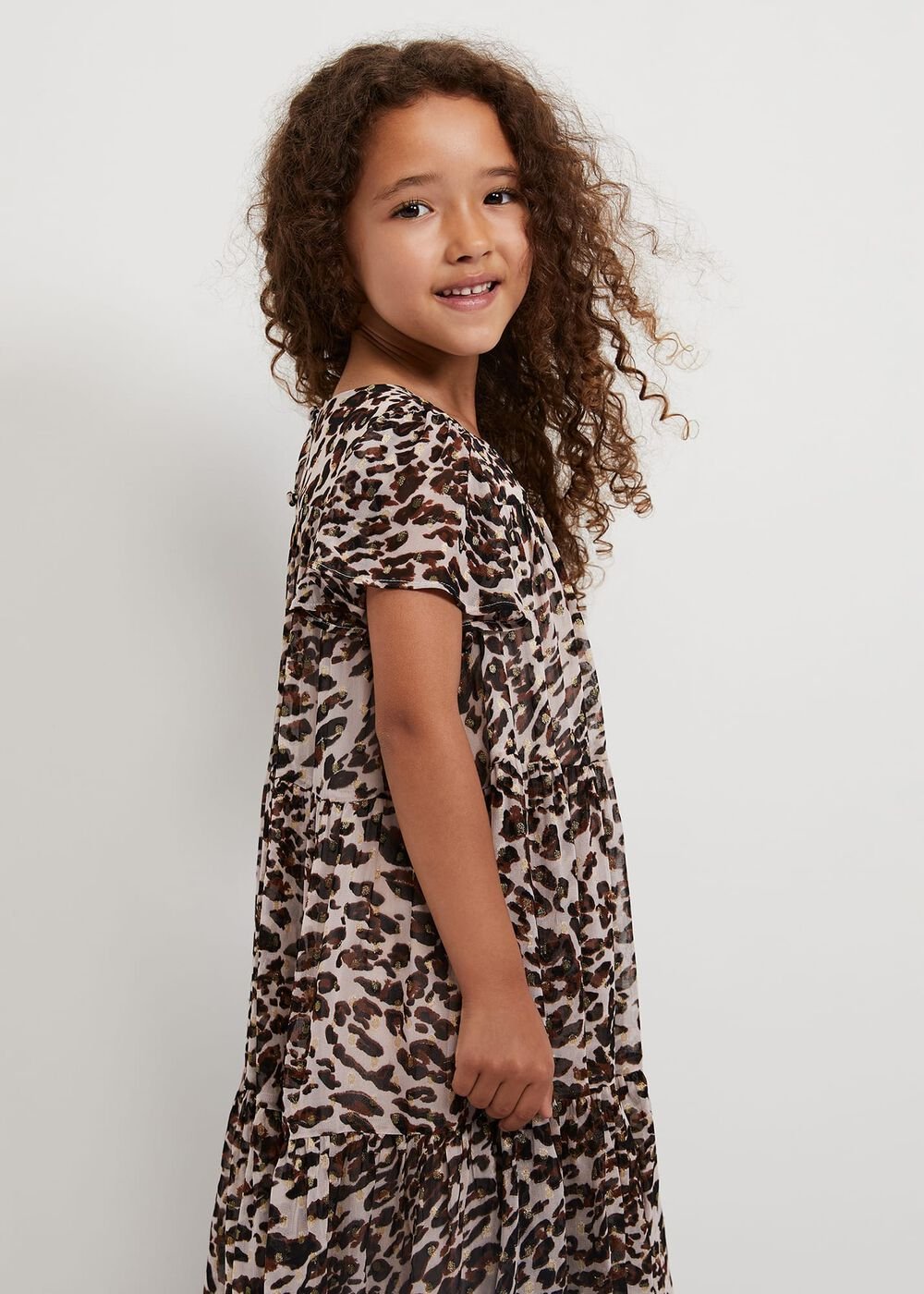 Eve Leopard Shimmer Swing Dress - Multi-Coloured